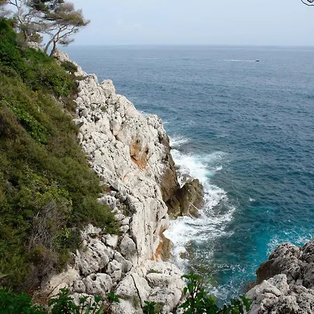 456 Chemin De La Pinede Menton
