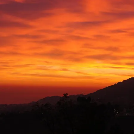 456 Chemin De La Pinede