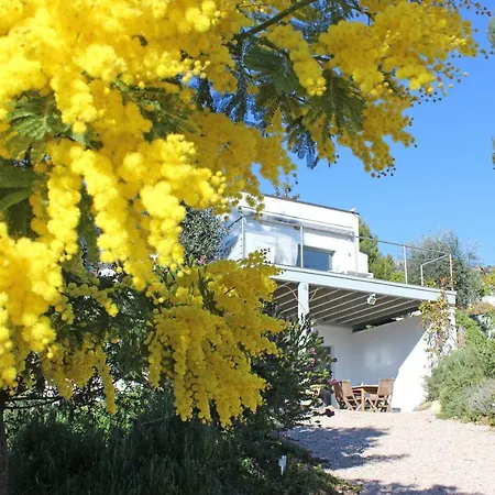 456 Chemin De La Pinede Menton