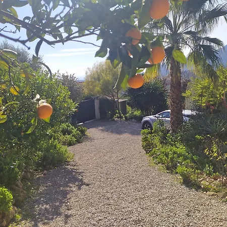 456 Chemin De La Pinede