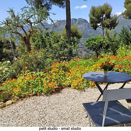 Apartment 456 Chemin De La Pinede *