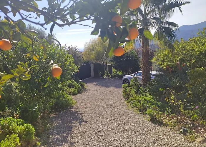 456 Chemin De La Pinede