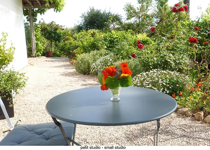 456 Chemin De La Pinede Lejlighed Menton